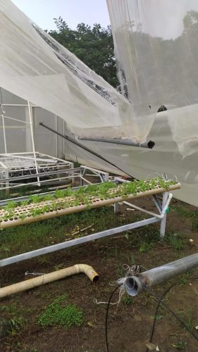 126243677_1333604173640377_3351152448135125208_n