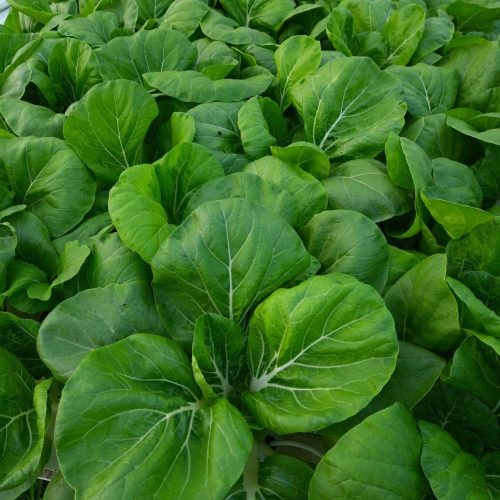 164402492_1422709194729874_2759155104380182663_n