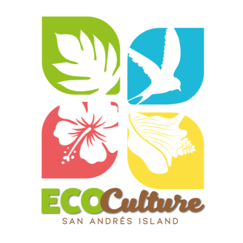 298386677_469500321850694_4269205770653531753_n