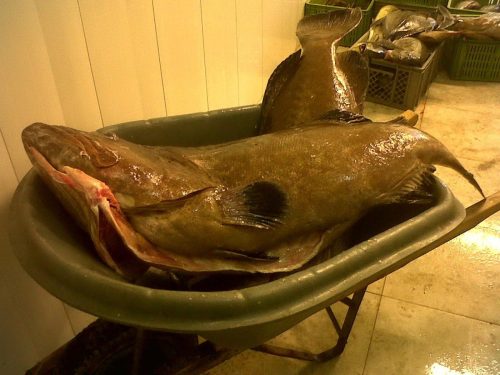 461442887_26927734990207439_7229491876542630251_n