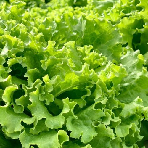 469702716_2382896298711154_4813455613394126360_n