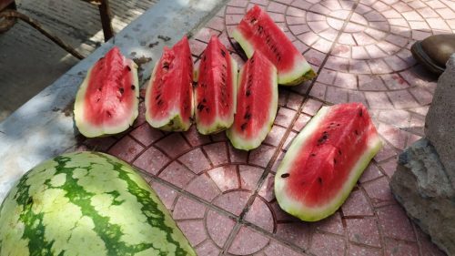 470674126_1336473987488913_7418700793193075660_n