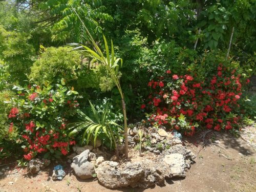 473570278_969350875068873_5221978240246080286_n