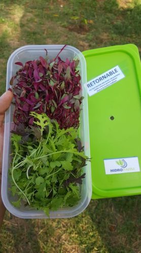 473588702_1142362834563814_7300829354054952658_n