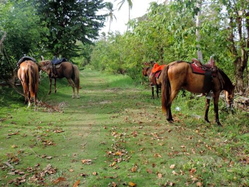 473888054_1061144392693129_6815221114261675006_n