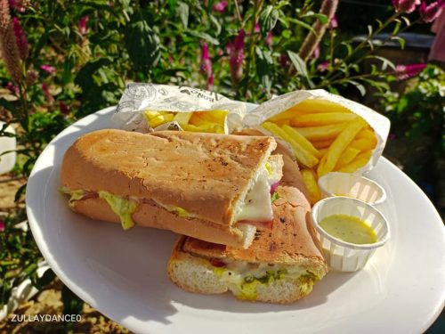 474005112_1082169303592900_7972871239452677696_n