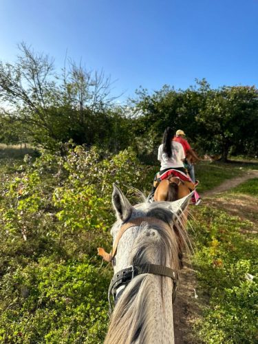 480261176_1083416960465872_3343501661219096033_n