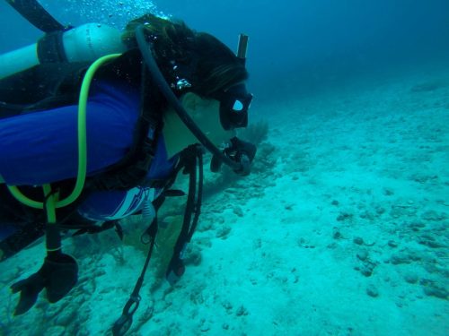 485053223_29046649771646694_9041870410459906286_n