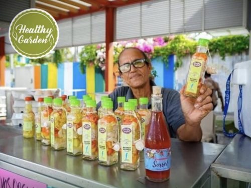 487484667_10877608263409736_4223568530417238335_n