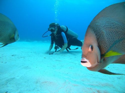 489556517_29300992292879106_8354116456764551873_n