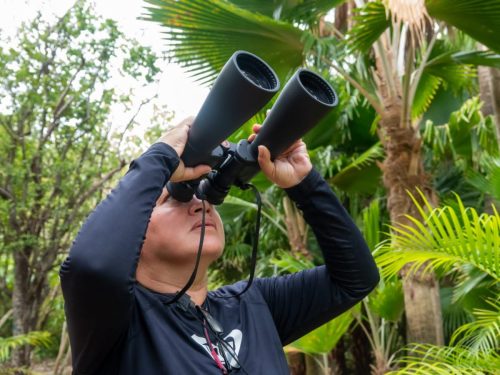 490729734_1226737712793614_49915100478206710_n