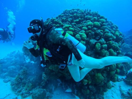 493322990_29509527428692257_1398196915399850858_n