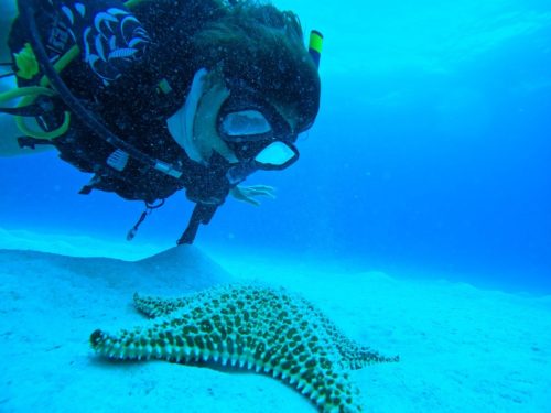 493323282_29509527405358926_6599981767851824600_n