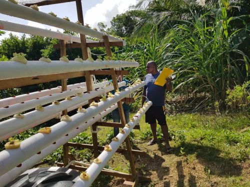 49798860_792757741058359_2325121098770808832_n