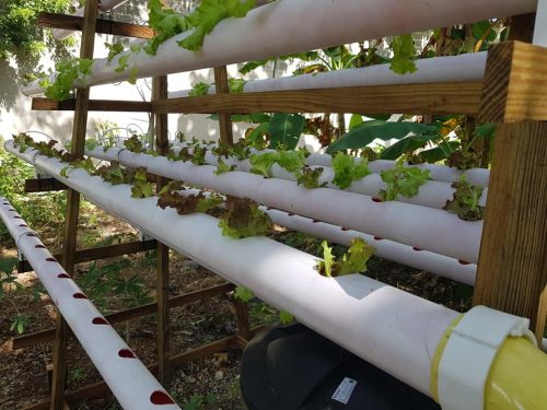 49864201_792755341058599_2811305074486149120_n