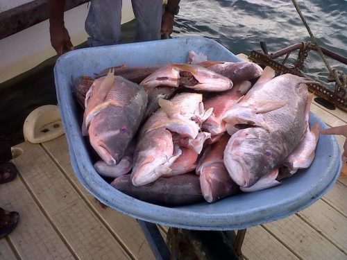 502974238_29804416182539291_8724094194281128585_n