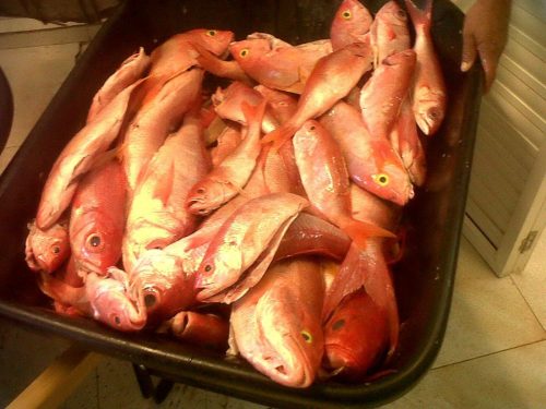 503083203_29804416042539305_3432195613967178602_n