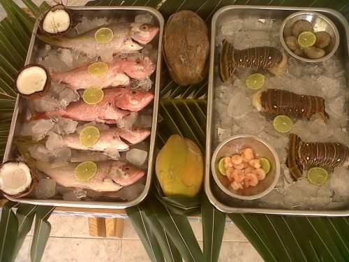 503100114_29804415945872648_4968901562502675049_n