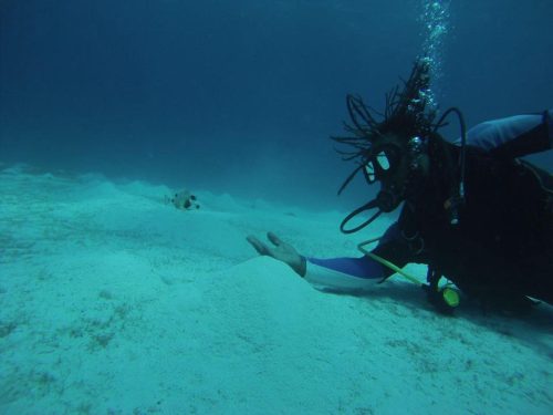 506835340_9533688753402141_2096470822075816223_n