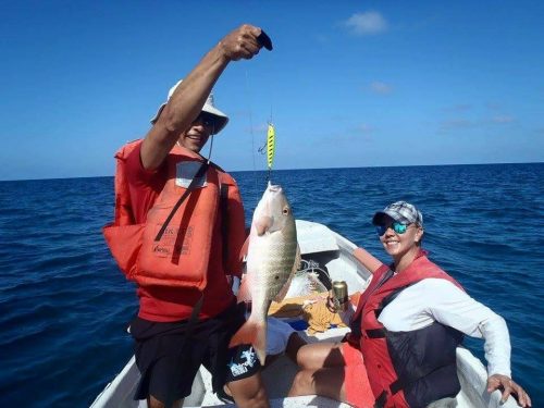 514420642_4002661019879314_2556670768621921381_n