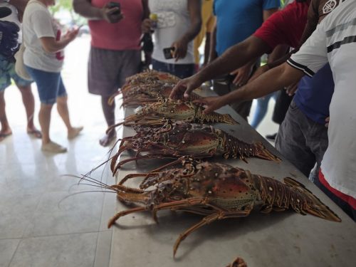 519035407_122185380914320226_8519390294547780873_n