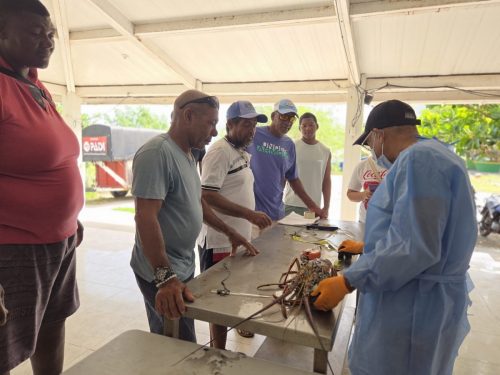 519055183_122185380752320226_3382050317200350031_n