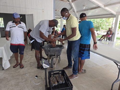 519063771_122185380962320226_1244043589476295320_n