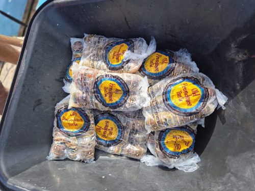 519174282_122185380470320226_9194056309909670588_n