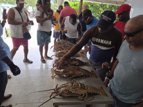 520148836_122185380824320226_1010924890344928519_n