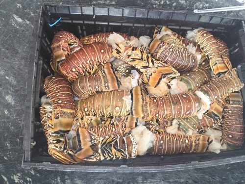 520302442_122185380506320226_235550832602889169_n