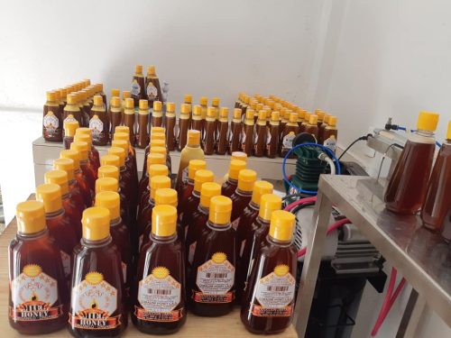 52800500_2316804501938375_3116000894961844224_n