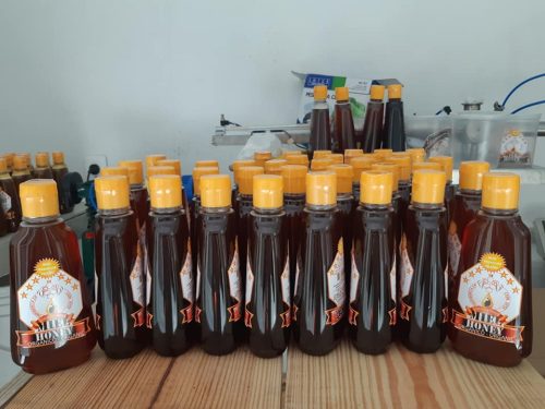 52958287_2316804065271752_5632922451349340160_n