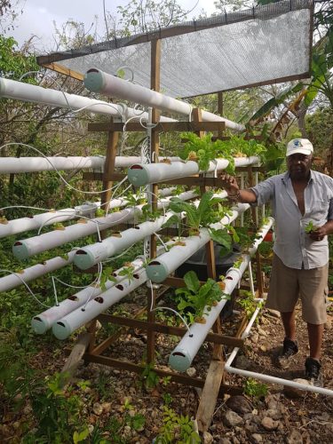 57162492_849946295339503_2965067489253261312_n