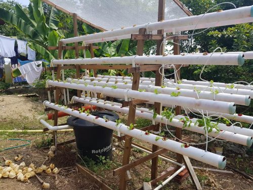 57558603_849946318672834_553263840096157696_n