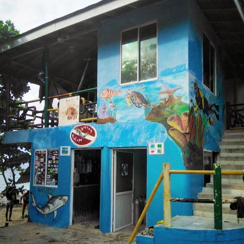 80305535_451560818852317_8708709550338867200_n