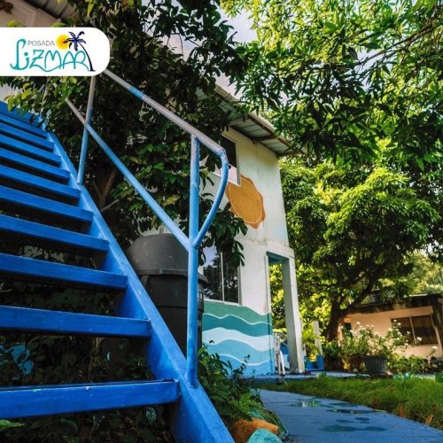 89617203_137328367769326_4231385712546545664_n