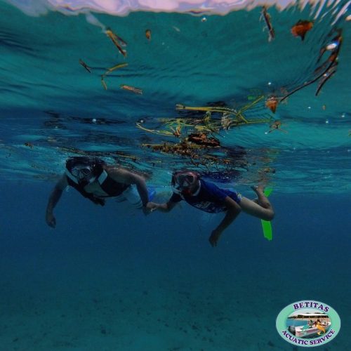 89992717_717666595436154_4346333910859251712_n