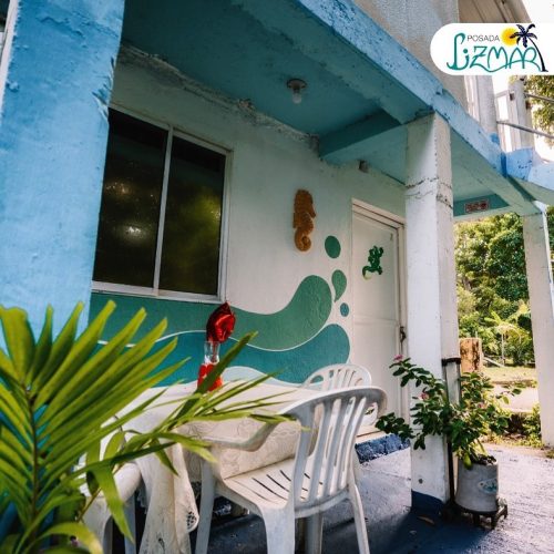 90849208_140595624109267_2673862899788677120_n