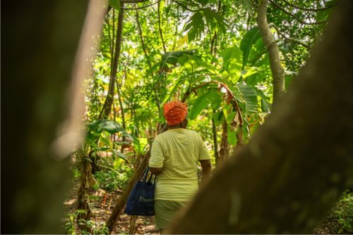 Farmer Woman Hill_0002