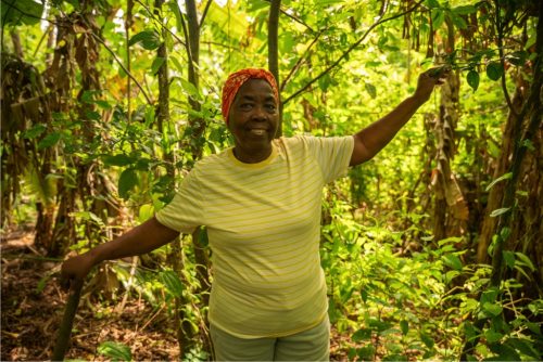 Farmer Woman Hill_0003