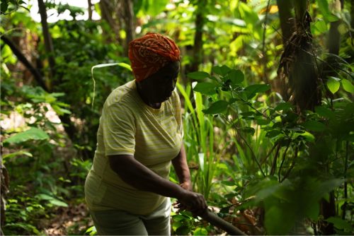 Farmer Woman Hill_0005