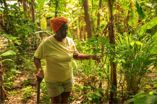 Farmer Woman Hill_0006