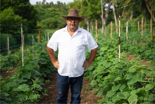 Finca la veranera_Coralina_2