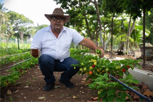 Finca la veranera_Coralina_3