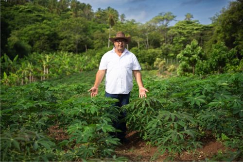 Finca la veranera_Coralina_5