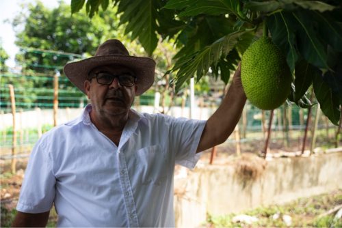 Finca la veranera_Coralina_7