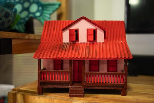 Lion Fish Expeditions _0004